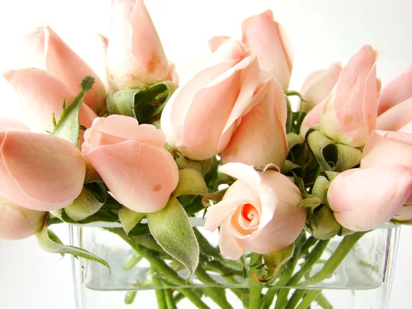 小小的粉红色玫瑰上的花瓶 — 图库照片