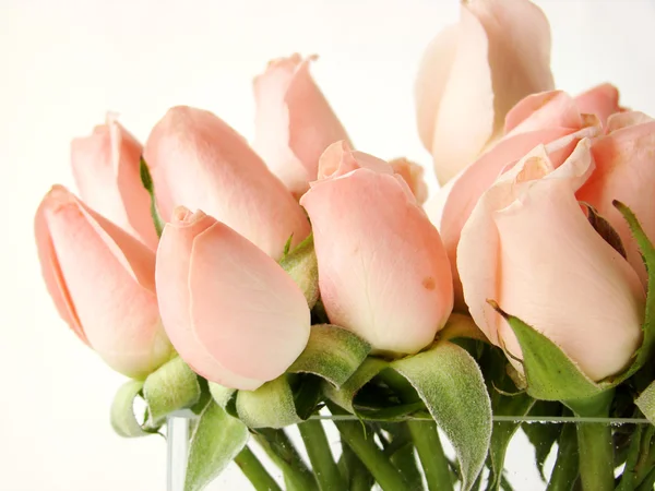 Little pink roses bouquet — Stock Photo, Image
