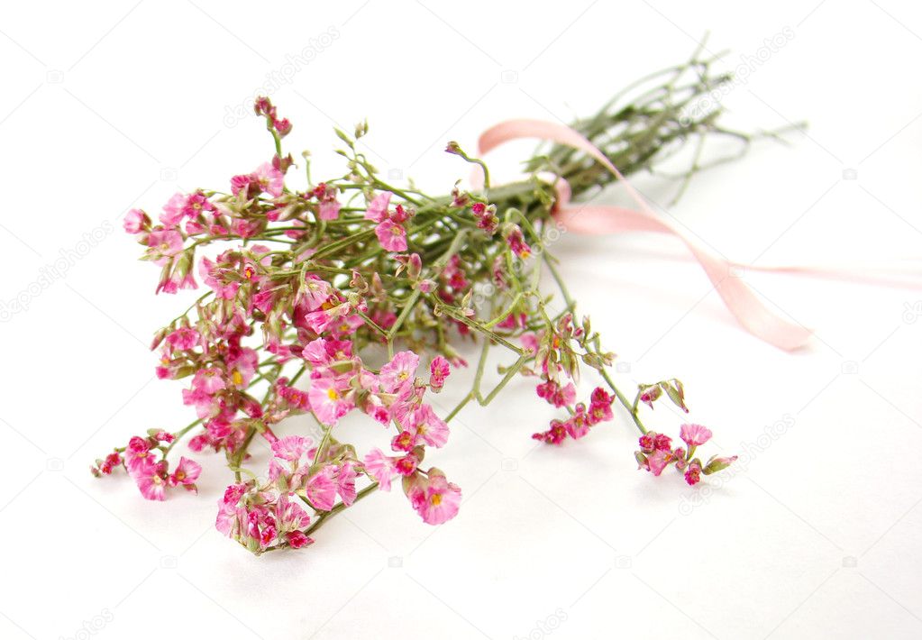 Bouquet of little pink flowers