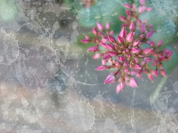 Вінтажний фон з квіткою — стокове фото