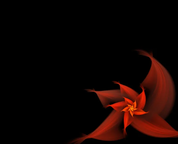 Fraktální flower karta — Stock fotografie