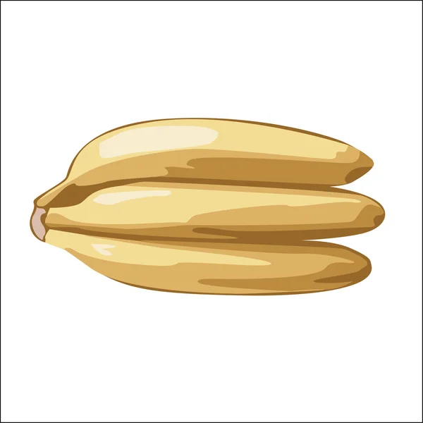 stock vector Banana