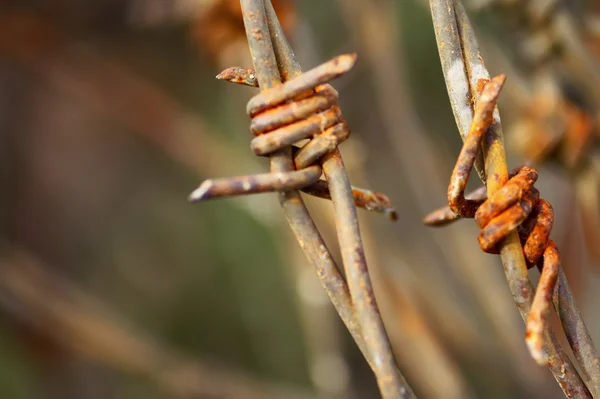 stock image Rusty Barbed wire