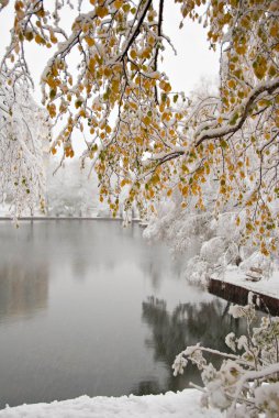 Winter city landscape with a pond clipart