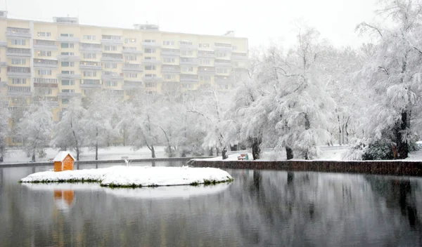 城市里的冬天 — 图库照片