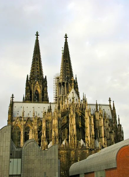 Avrupa. Almanya. Köln — Stok fotoğraf