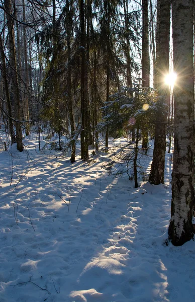Зимний пейзаж с солнцем — стоковое фото