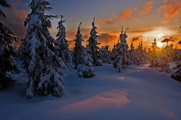 Ηλιοβασίλεμα στο χιονισμένο τοπίο — Φωτογραφία Αρχείου