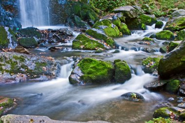 Güz Creek için başlangıç