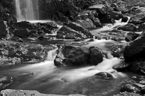 Black and white spring waterfall — Stock Photo, Image