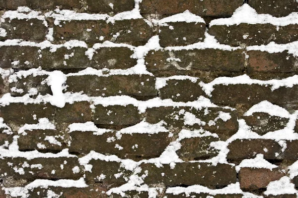 Besneeuwde bakstenen muur — Stockfoto