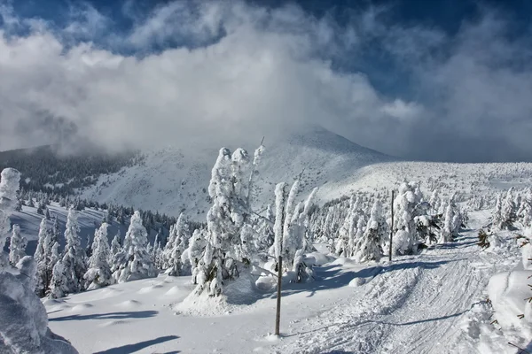 Nieve camino abajo de las montañas — Foto de Stock