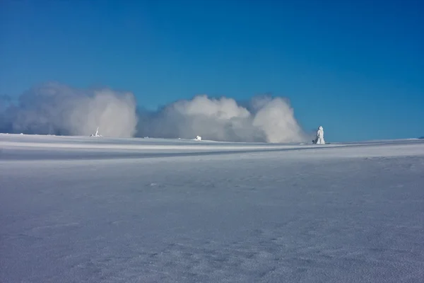 雪に覆われた荒れ地 — ストック写真
