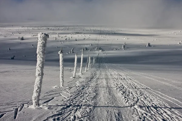Caminho através da planície desolada branco — Fotografia de Stock
