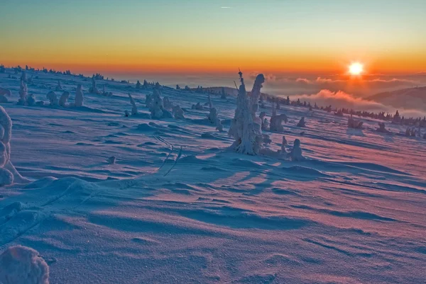 山の上の夕日 — ストック写真