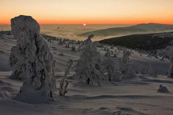 Тьма в снежном ландшафте — стоковое фото