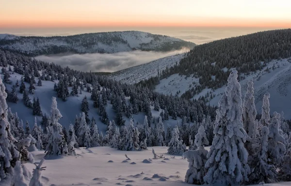 Twilight snöiga landskapet — Stockfoto