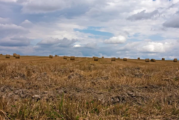 Широкое поле — стоковое фото