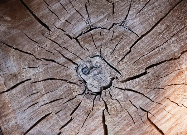 Détail de vieux bois — Photo