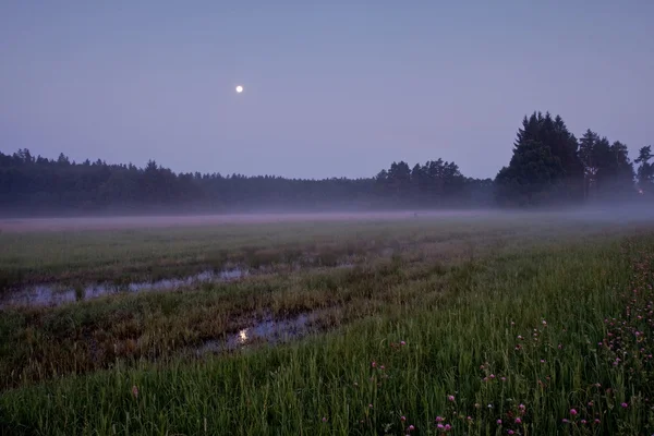 stock image Full moon early morning