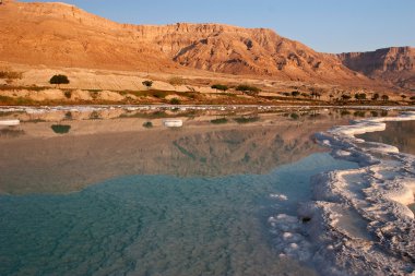 Dead Sea coast clipart