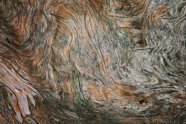 Twisted pine wood close up — Stock Photo, Image