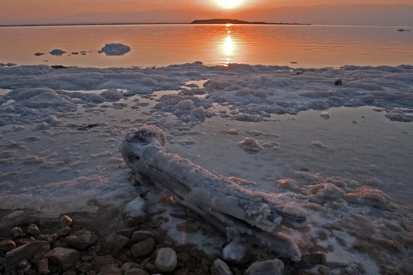 Ölü Deniz güneş doğarken — Stok fotoğraf
