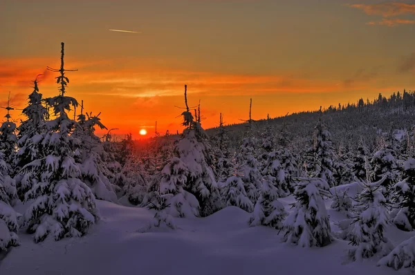 Schneelandschaft, rote Sonnenuntergangslandschaft — Stockfoto