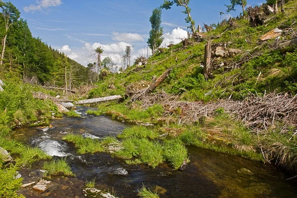 Valley Stream after storm — Stock Photo, Image