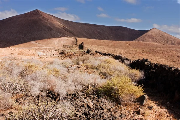 Lanzarote hills — Stockfoto