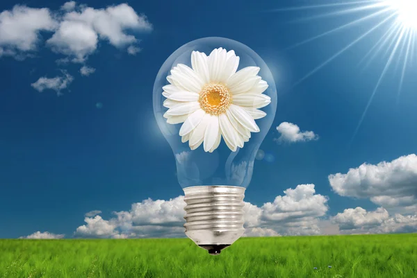 Ідея квітку лампочка — стокове фото