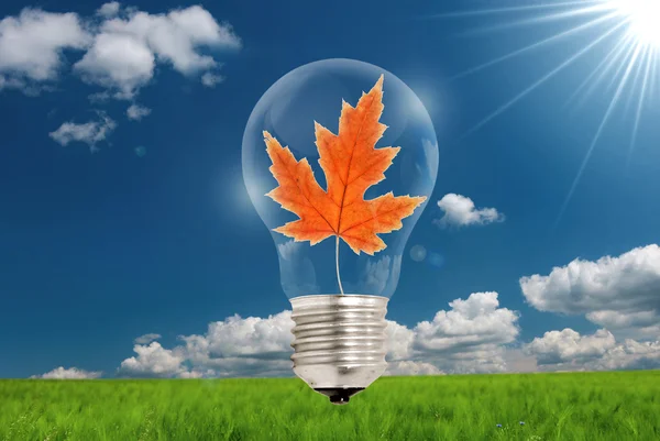 Лампа Leaf ідея — стокове фото