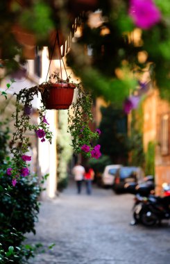 Picturesque view of an Italian street clipart