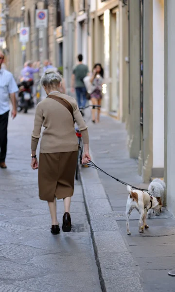 stock image Old age in the Eternal city