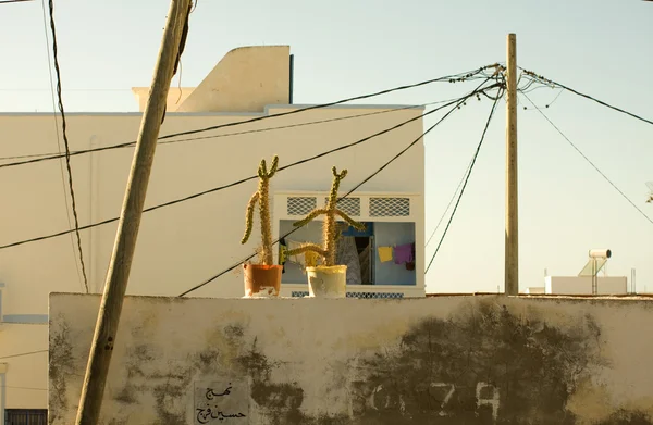 Tunisia street — Stock Photo, Image