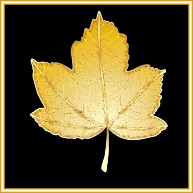 Maple leaf 5 clipart