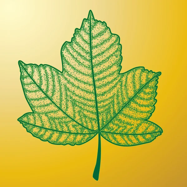 カエデの葉の 4 ロイヤリティフリーのストックイラスト