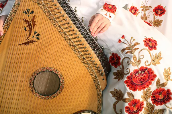 Традиционный украинский инструмент — стоковое фото