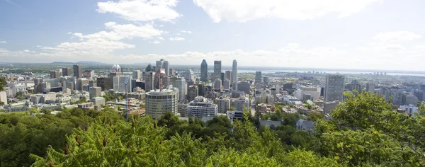 stock image Cityscape