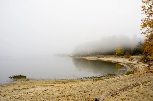 Foggy landskap — Stockfoto