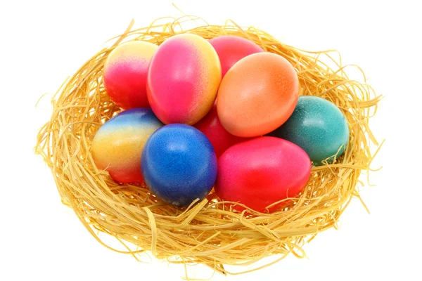 Easter eggs on white. — Stock Photo, Image