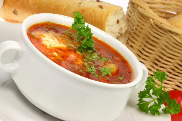 Stock image Bowl of borscht.