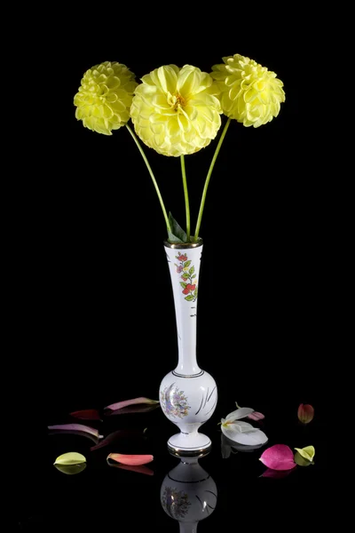 Biały wazon żółty dalie. — Zdjęcie stockowe
