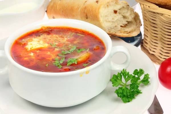 Stock image Bowl of borscht.