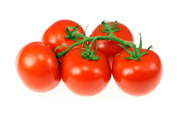 Tomaten op de wijnstok. — Stockfoto