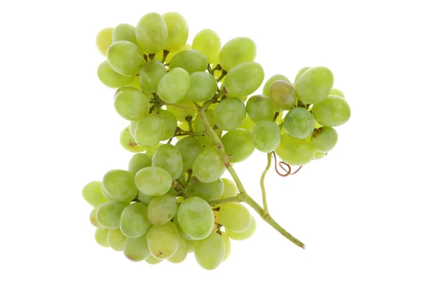 Raisins verts sur blanc . — Photo