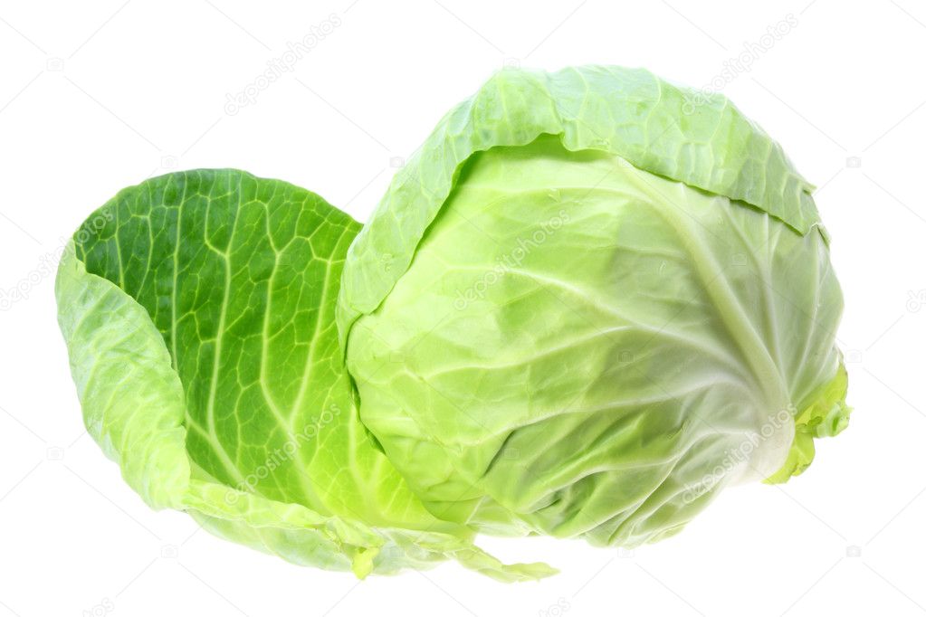 Cabbage on white.