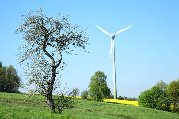 风力发电机组和树. — 图库照片