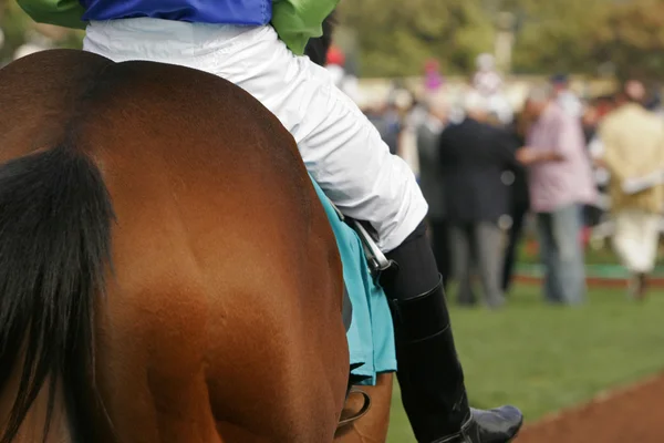 Závodní kůň a žokej — Stock fotografie