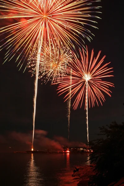 Fireworks Display 3 — Stock Photo, Image